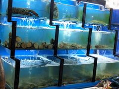 水产区-老东镇啤酒屋海鲜加工·蒸汽海鲜·海鲜烧烤(台东店)