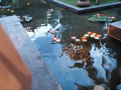 -西双版纳洲际度假酒店兰吧