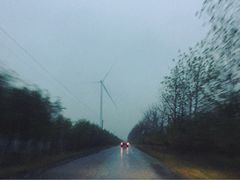 -黄海国家森林公园