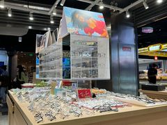 -棱石眼镜(CP静安店)