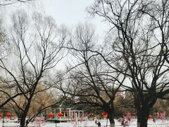 -北陵公园