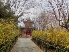 -宣武艺园