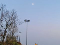 -星光岛