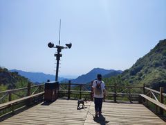 -大岭沟猕猴桃谷风景区