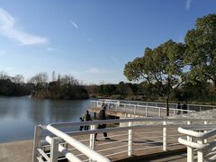 -新江湾城公园