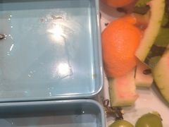 -水木谷养生水汇
