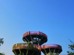 -芒洲湿地公园