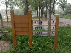 -东郊湿地公园