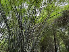 -晓港公园