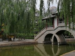 -团结湖公园