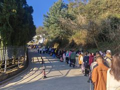 -苍山感通索道