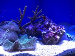 -上海海洋水族馆