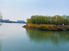 -大兴滨河森林公园