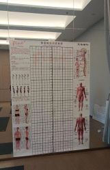 -FineYoga梵音瑜伽·普拉提