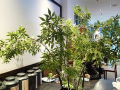 -阿嬷手作(南宁百盛印象城店)