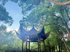 -东湖落雁景区