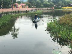 -映月湖公园