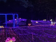 -观澜湖生态运动公社