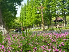 -宜兴龙背山森林公园