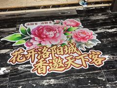 -洛阳宴·洛阳菜(南昌路店)