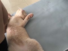 -屋虎猫馆(宝安大仟里店)