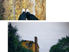-南山植物园