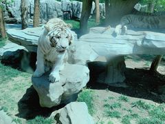 -北京野生动物园