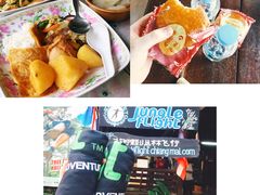 -清迈丛林飞跃 JungleFlight