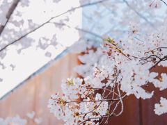 -龙美术馆(西岸馆)