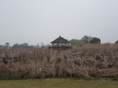 -梁鸿国家湿地公园