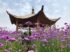 -杭州城北体育公园