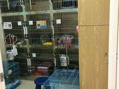 -芭比堂动物医院·24小时·眼科中心(深圳中心)
