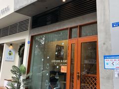 -猫友咖啡店(玉林西路店)