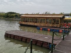 -泗洪洪泽湖湿地景区