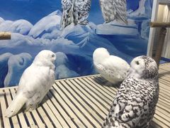 -成都浩海立方海洋公园