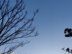 -上海山野camping·户外天幕烧烤·团建拓展营地