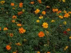 -白鹭湾湿地公园