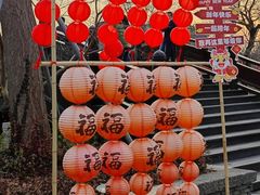 -广富林郊野公园