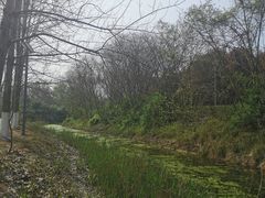 -大蜀山国家森林公园