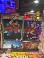 -卡通尼·Safari非洲探索乐园·生日会(金桥国际商业广场店)