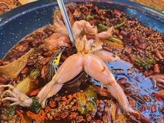 -渔香岛美蛙鱼头火锅(威清路店)