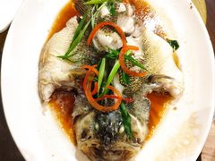 清蒸鲈鱼-老广酒楼(樱花店)