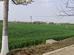 -嘉北郊野公园