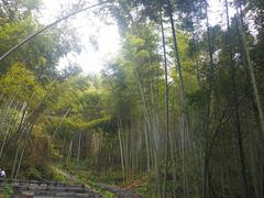 -梅岭月亮湾山体公园