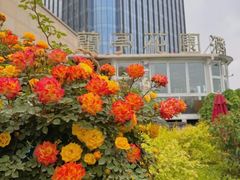 -蘭亭花園(兰州中心店)