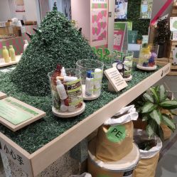 -悦诗风吟innisfree