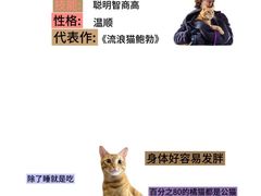 -Bastet sally猫舍购宠(静安店)
