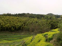 -灵山景区梯田