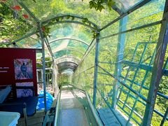 -丹东天桥沟景区