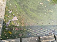 -华南师范大学(广州大学城校区)